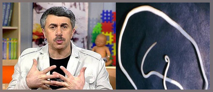 Комаровский о дегельминтизации