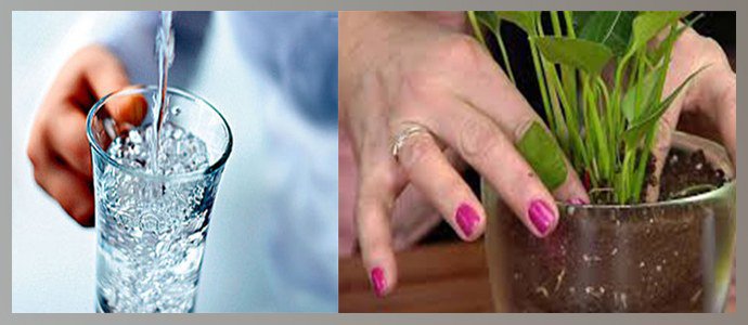 Потребление воды, контакт кожи с почвогрунтом
