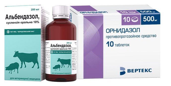 Альбендазол и орнидазол