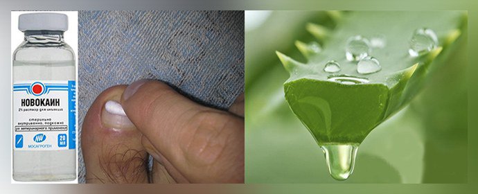 Применение с алоэ