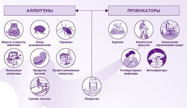 причины появления астмы