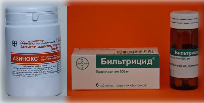 Азинокс и бильтрицид