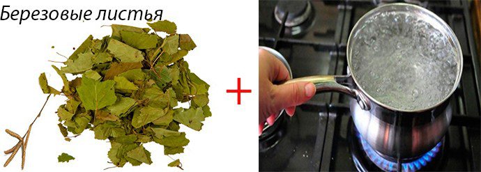 березовые листья при астме