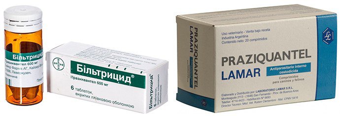 Бильтрицид, Празиквантел