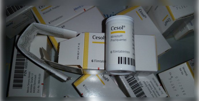 Цесол