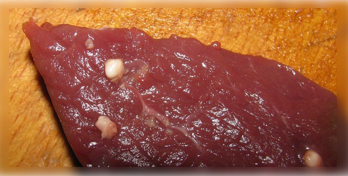 Эхинококкоз в мясе