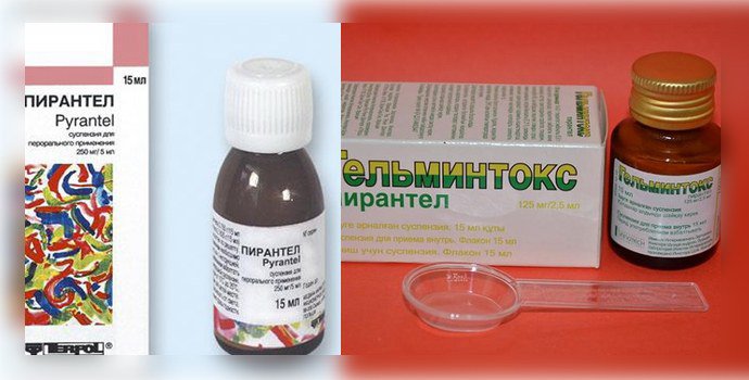 Пирантел и гельминтокс