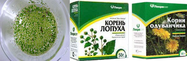настой ряски, корень лопуха и одуванчика