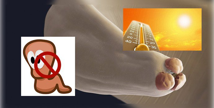 температура гибели глистов