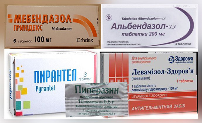 Традиционные средства от глистов